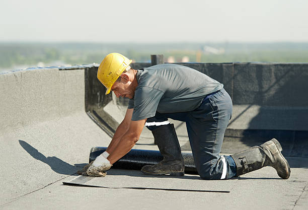 Best Specialty Insulation in Jasper, FL